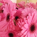 Cut flowers in Kengarag